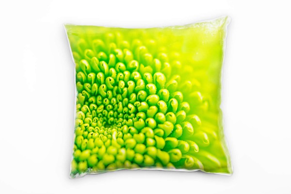 Macro, Natur, grün, grüne Blume Deko Kissen 40x40cm für Couch Sofa Lounge Zierkissen