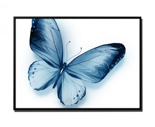 105x75cm Leinwandbild Petrol Schmetterling einzeln I