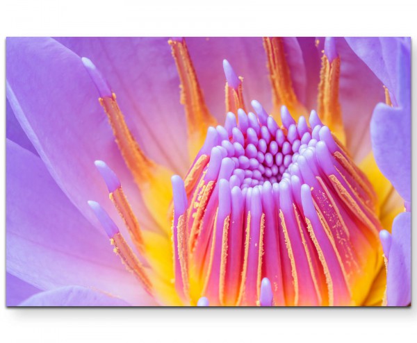 Fotografie einer wunderschönen lila Blüte - Leinwandbild