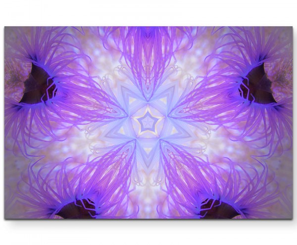 Violette Anemonen  Unterwasser - Leinwandbild