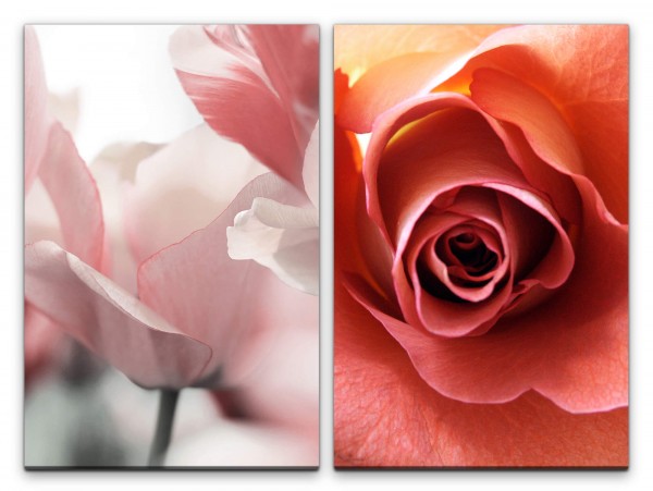 2 Bilder je 60x90cm Tulpe Rose Liebe Romantisch Blumen Dekorativ Makrofotografie
