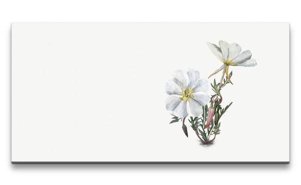 Remaster 120x60cm Blume Blüte wunderschöne Illustration Dekorativ Kunstvoll