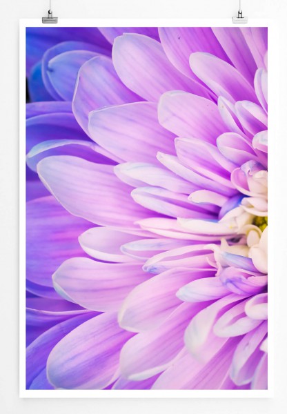 60x90cm Poster Naturfotografie  Blume mit Farbverlauf