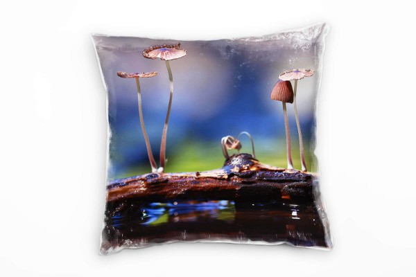 Natur, Pilze, Nahaufnahme, blau, braun, grün Deko Kissen 40x40cm für Couch Sofa Lounge Zierkissen