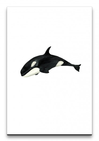 Schwertwal Orca Schwarz Weiß Wasserfarben Aquarell Minimal