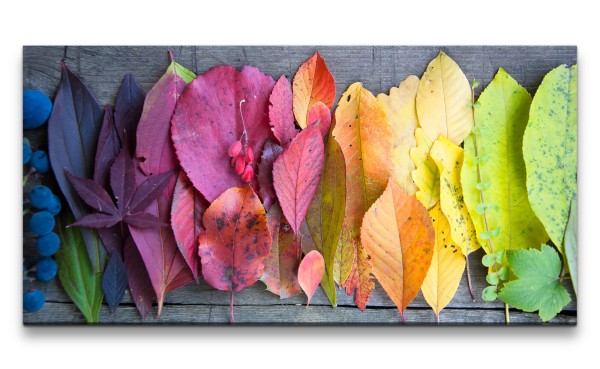Leinwandbild 120x60cm Herbstblätter Blätter Herbst Fotokunst schöne Farben Natur