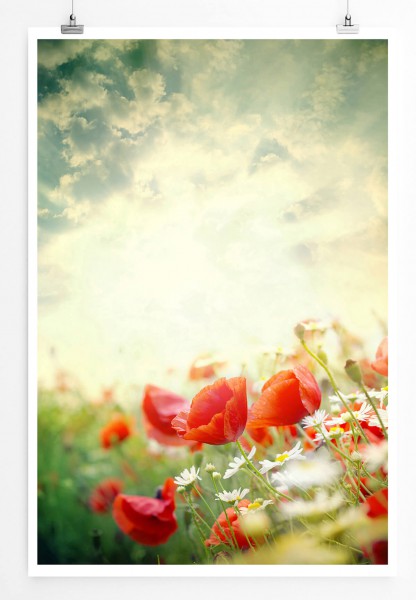 60x90cm Naturfotografie Poster Mohnblumen mit sonnigem Himmel