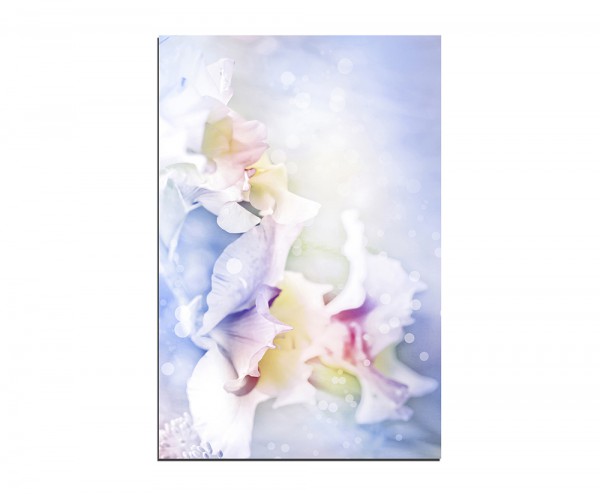 120x60cm Blume Blüte Hintergrund abstrakt