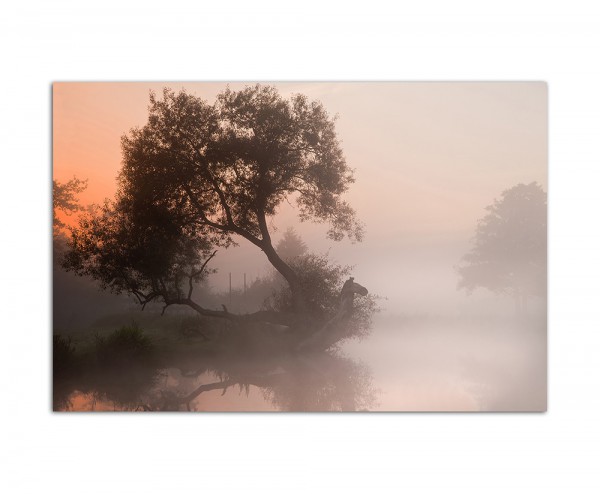 120x80cm Fluss Nebel Baum Sonnenaufgang
