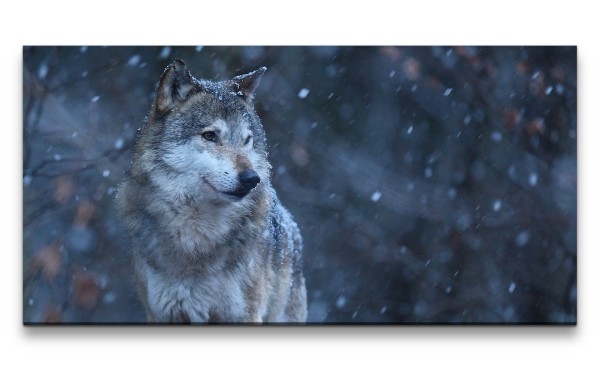 Leinwandbild 120x60cm Grauer Wolf Mystisch Geheimnisvoll schönes Tier Schnee