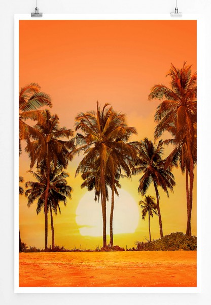 60x90cm Poster Landschaftsfotografie  Malerische Palmenreihe