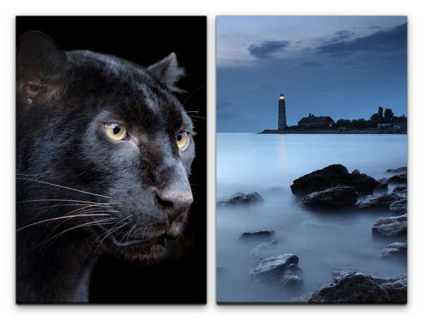 2 Bilder je 60x90cm Schwarzer Panther Leopard Raubkatze Leuchtturm Irland Küste