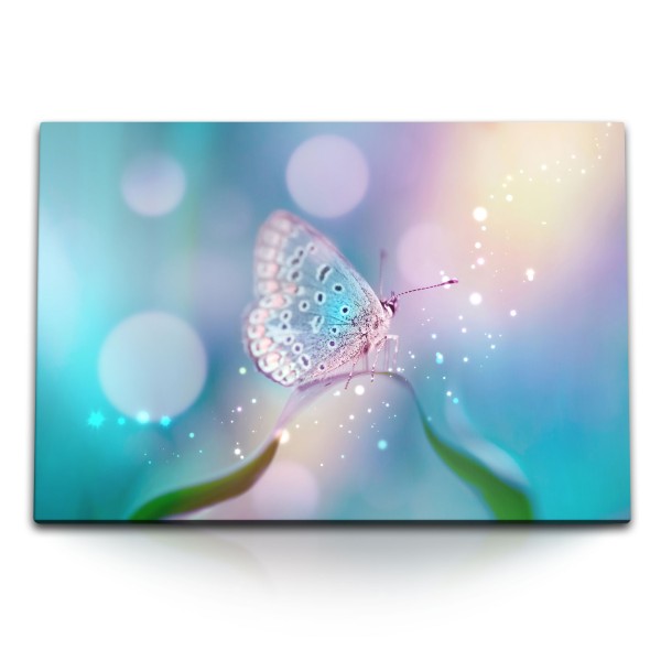 120x80cm Wandbild auf Leinwand Schmetterling Frühling Blau Sonnenstrahlen Fotokunst