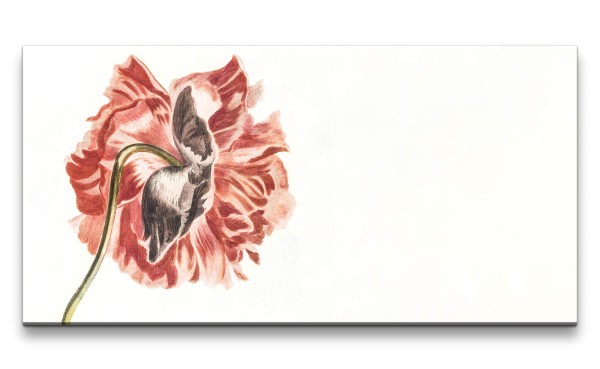 Remaster 120x60cm Johan Teyler Illustration Blume Blüte Rot Dekorativ