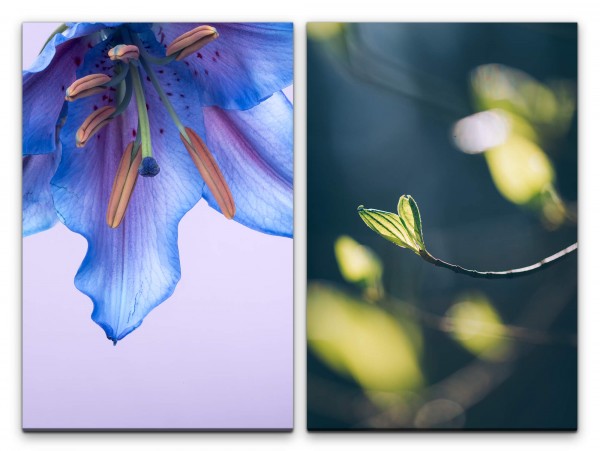 2 Bilder je 60x90cm Blaue Blüte Blume Zweig Frisch Duftend Dekorativ positive Energie