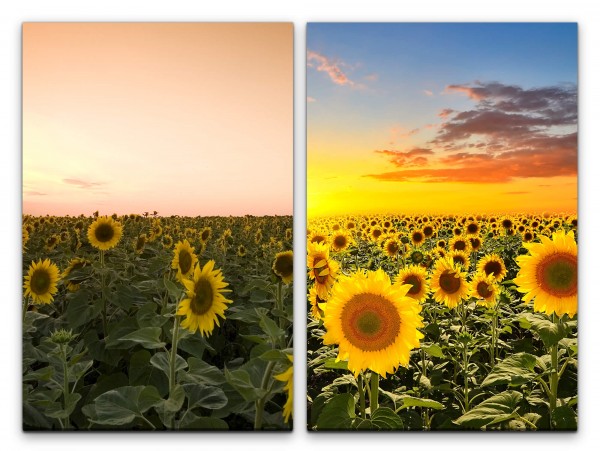 2 Bilder je 60x90cm Sonnenblumen Sonnenblumenfeld Sonne Sommer Sonnenuntergang Pflanzen Idyllisch