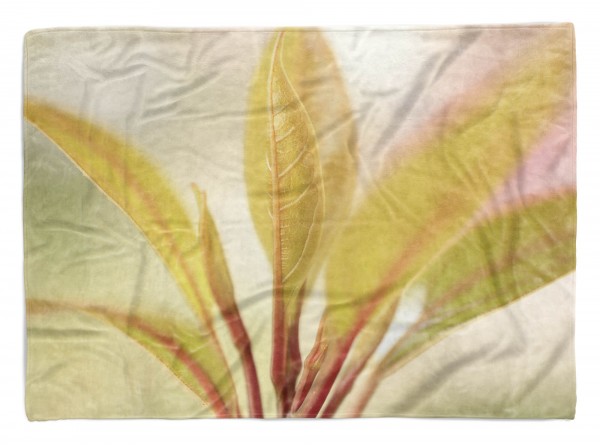 Handtuch Strandhandtuch Saunatuch Kuscheldecke mit Fotomotiv Pflanze Nahaufnahm
