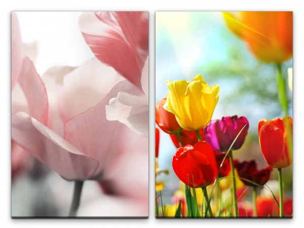 2 Bilder je 60x90cm Tulpen Blumen Bunt Farbenfroh Sommer Dekorativ Sonnenschein