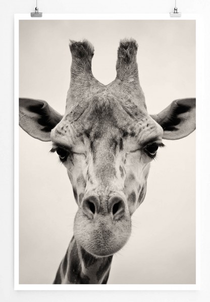 60x90cm Tierfotografie Poster Giraffe im Porträt 