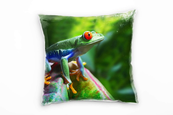 Tiere, bunt, farbenfroher Frosch Deko Kissen 40x40cm für Couch Sofa Lounge Zierkissen