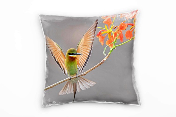 Tiere, Vogel, Blauschwarzspint, grün, braun, grau Deko Kissen 40x40cm für Couch Sofa Lounge Zierkiss