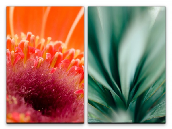 2 Bilder je 60x90cm Blüten Blumen Rot Grün Dekorativ Fotokunst Makrofotografie