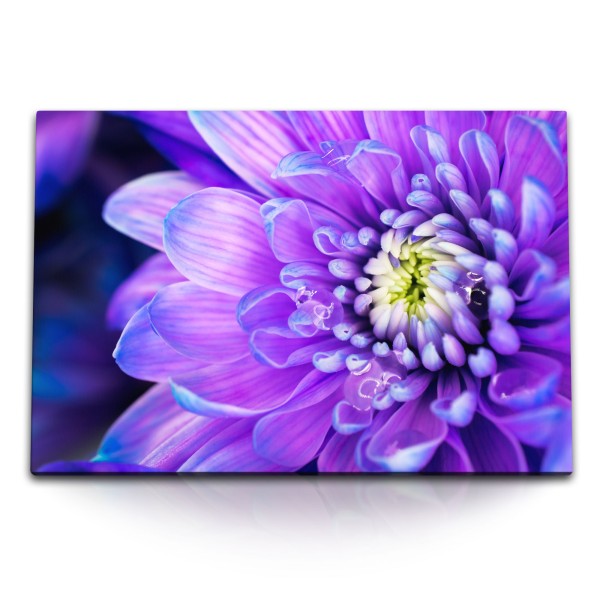 120x80cm Wandbild auf Leinwand Violette Blume Blüte Nahaufnahme Kunstvoll