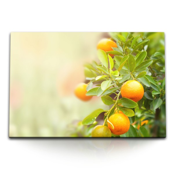 120x80cm Wandbild auf Leinwand Orangenbaum Orangen Sommer Grün Natur