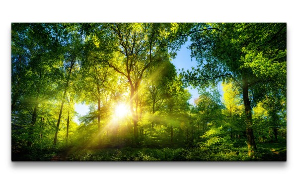 Leinwandbild 120x60cm Grüner Wald Baumkronen Sonnenstrahl Natur Erholsam