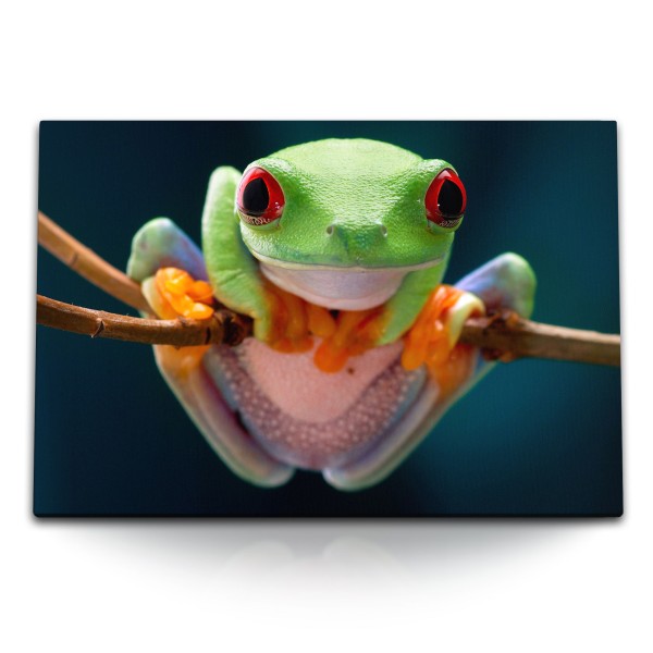 120x80cm Wandbild auf Leinwand Exotischer Frosch Regenwald Tierfotografie Natur
