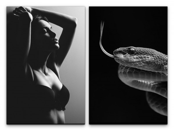2 Bilder je 60x90cm Junge Frau Erotisch Schlange Gefährlich Verführerisch Leidenschaft Schwarz Weiß