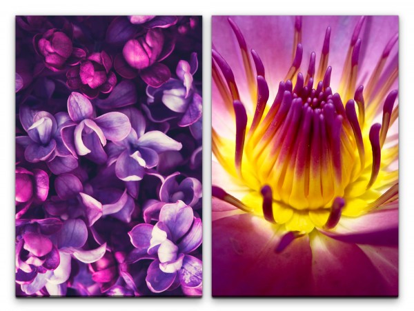 2 Bilder je 60x90cm Blüten Neonfarben Blumen Orchideen Dekorativ Farbenfroh Makrofotografie