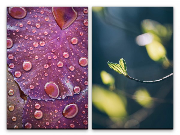2 Bilder je 60x90cm Regentropfen Blätter Frühling Zweig Dekorativ Frische Makrofotografie