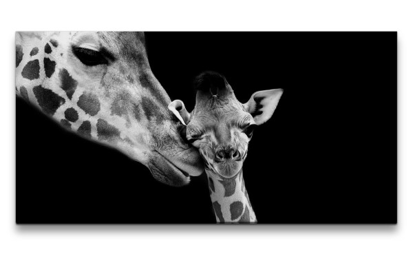 Leinwandbild 120x60cm Giraffen Baby Schwarz Weiß Tierfotografie Lieblich