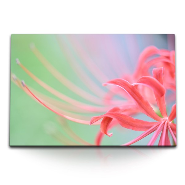 120x80cm Wandbild auf Leinwand Exotische Blume Blüte Makrofotografie Rosa Grün