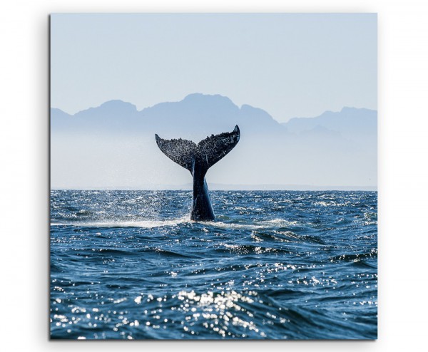 Naturfotografie  Flosse eines Buckelwals im Meer Südafrika auf Leinwand exklusives Wandbild moderne