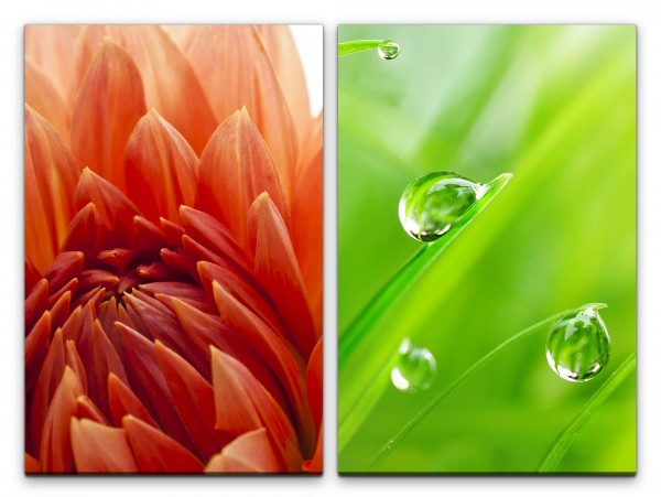 2 Bilder je 60x90cm Dahlie Blume Grashalme Wassertropfen Frisch Grün Makrofotografie