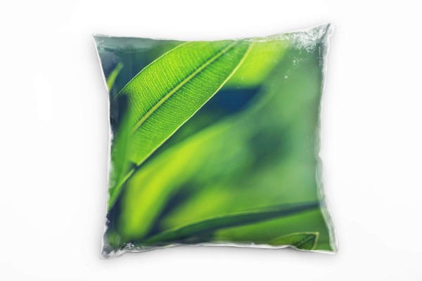 Macro, Natur, Blätter, grün Deko Kissen 40x40cm für Couch Sofa Lounge Zierkissen