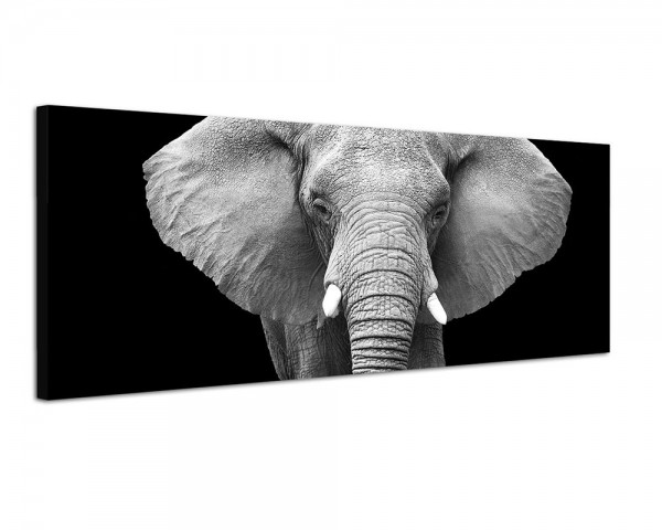 150x50cm Elefant Kopf Gesicht Nahaufnahme