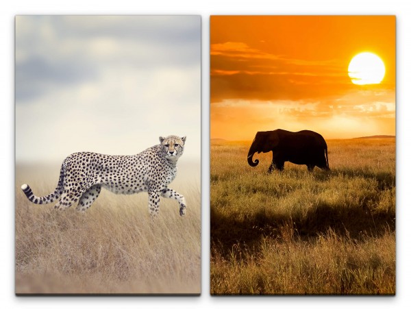 2 Bilder je 60x90cm Gepard Elefant Afrika Wildnis Safari Sonne Natur