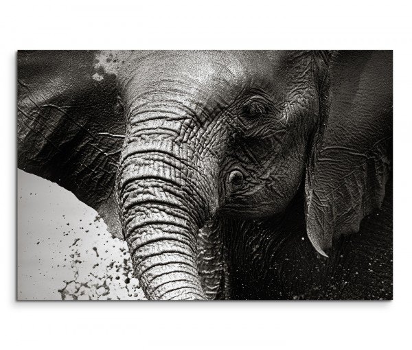 120x80cm Wandbild Namibia Nationalpark Elefant Wasser schwarz weiß