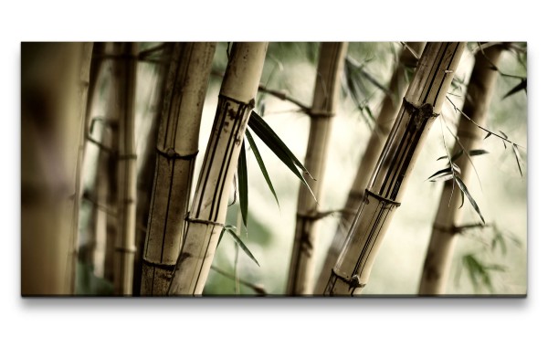 Leinwandbild 120x60cm Bambus Bambuswald Asien Fotokunst Kunstvoll Natur Harmonie