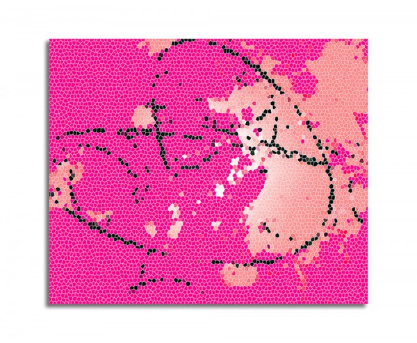 Pink Mosaik, Leoni Arta 33
