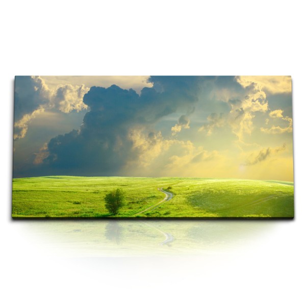 Kunstdruck Bilder 120x60cm Landschaft Wiese Feldweg Himmel Horizont Natur