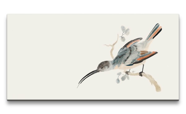 Remaster 120x60cm Johan Teyler Illustration Kolibri kleiner Vogel Minimal Dekorativ