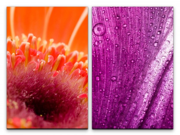 2 Bilder je 60x90cm Blume Blüte Nektar Regentropfen Rosa Rot Dekorativ