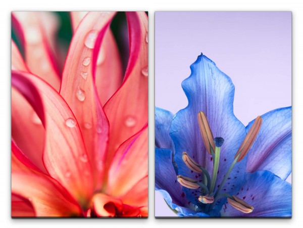 2 Bilder je 60x90cm Blumen Blüten Sommer Wasser Farbenfroh Dekorativ Makrofotografie