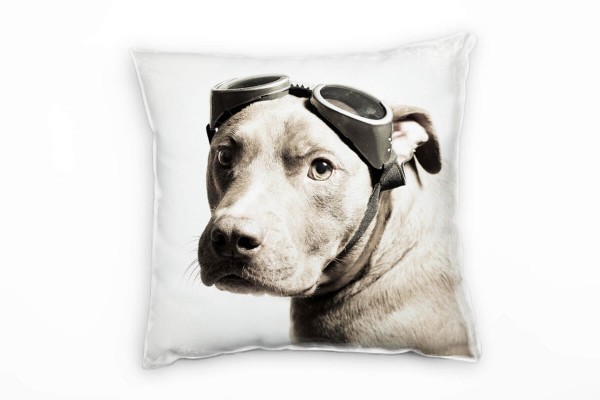 Tiere, Hund, Pitbull mit Flugbrille, beige Deko Kissen 40x40cm für Couch Sofa Lounge Zierkissen