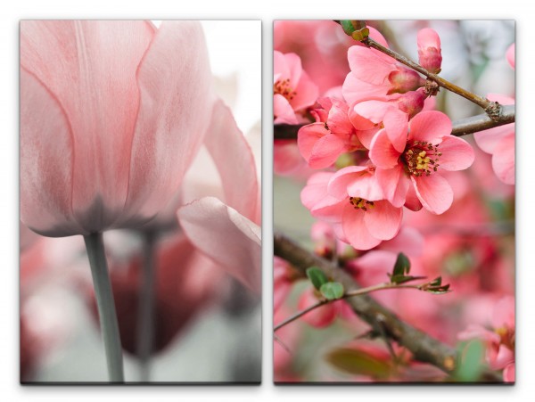 2 Bilder je 60x90cm Tulpen Baumblüten Frühling Sommer Blumen Natur Schön