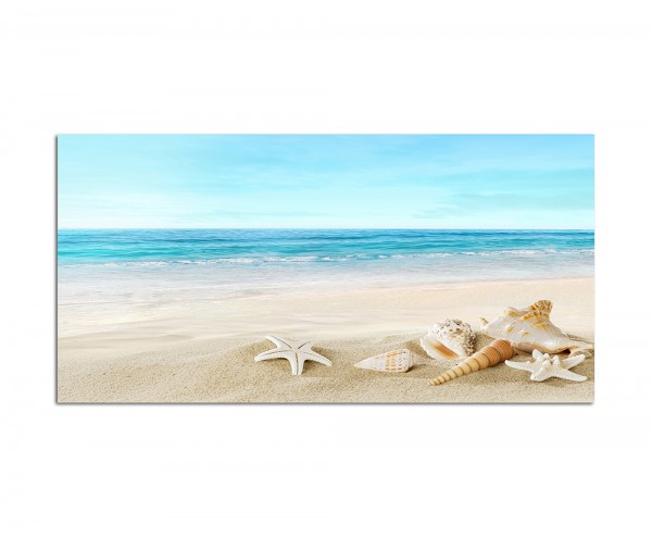 120x60cm Strand Meer Muscheln Seestern Sand